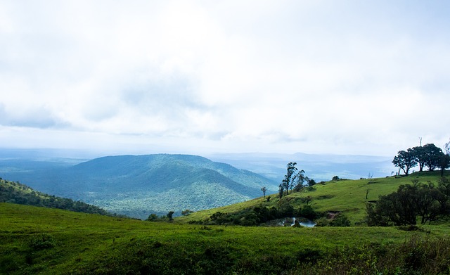 成功案例尤 成功案例尤