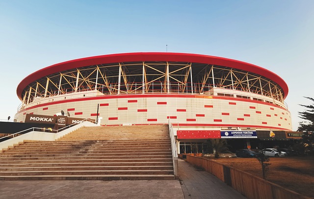 赖球员个人 赖球员个人