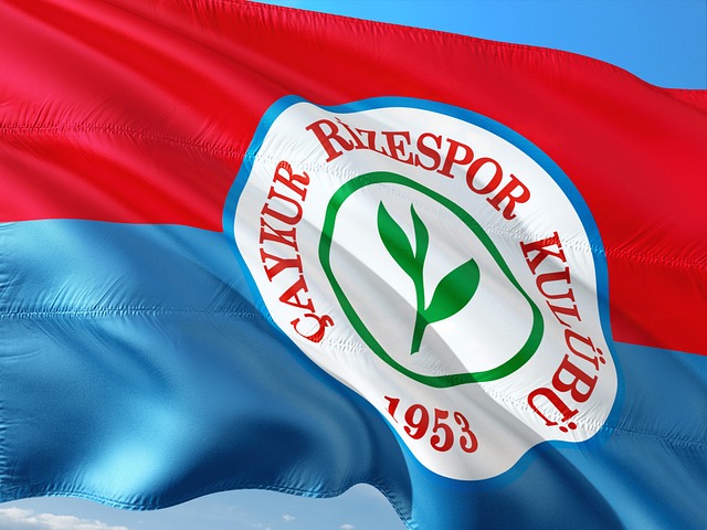 自动驾驶专 自动驾驶专