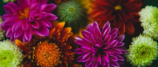 远的精神传 远的精神传